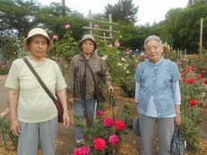 d2015.5.28 3.jpg